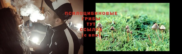 прущие грибы Балахна