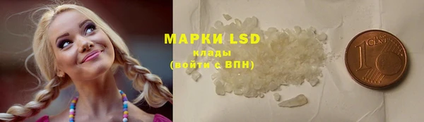 прущие грибы Балахна