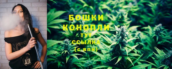 прущие грибы Балахна