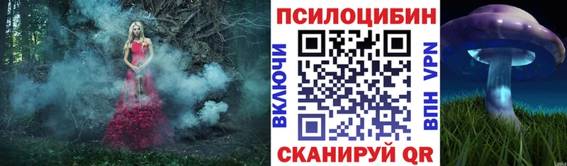Галлюциногенные грибы Magic Shrooms  где купить наркоту  Балахна 